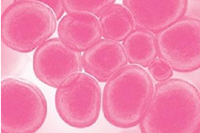 Imagen de un escáner de moléculas