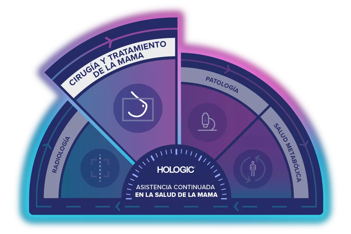 Gráfico de asistencia continuada
