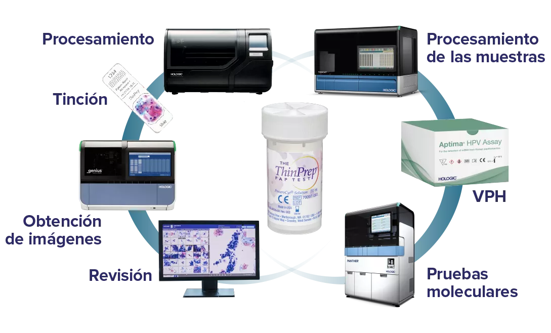 Gráfico que muestra la relación entre los productos de Hologic