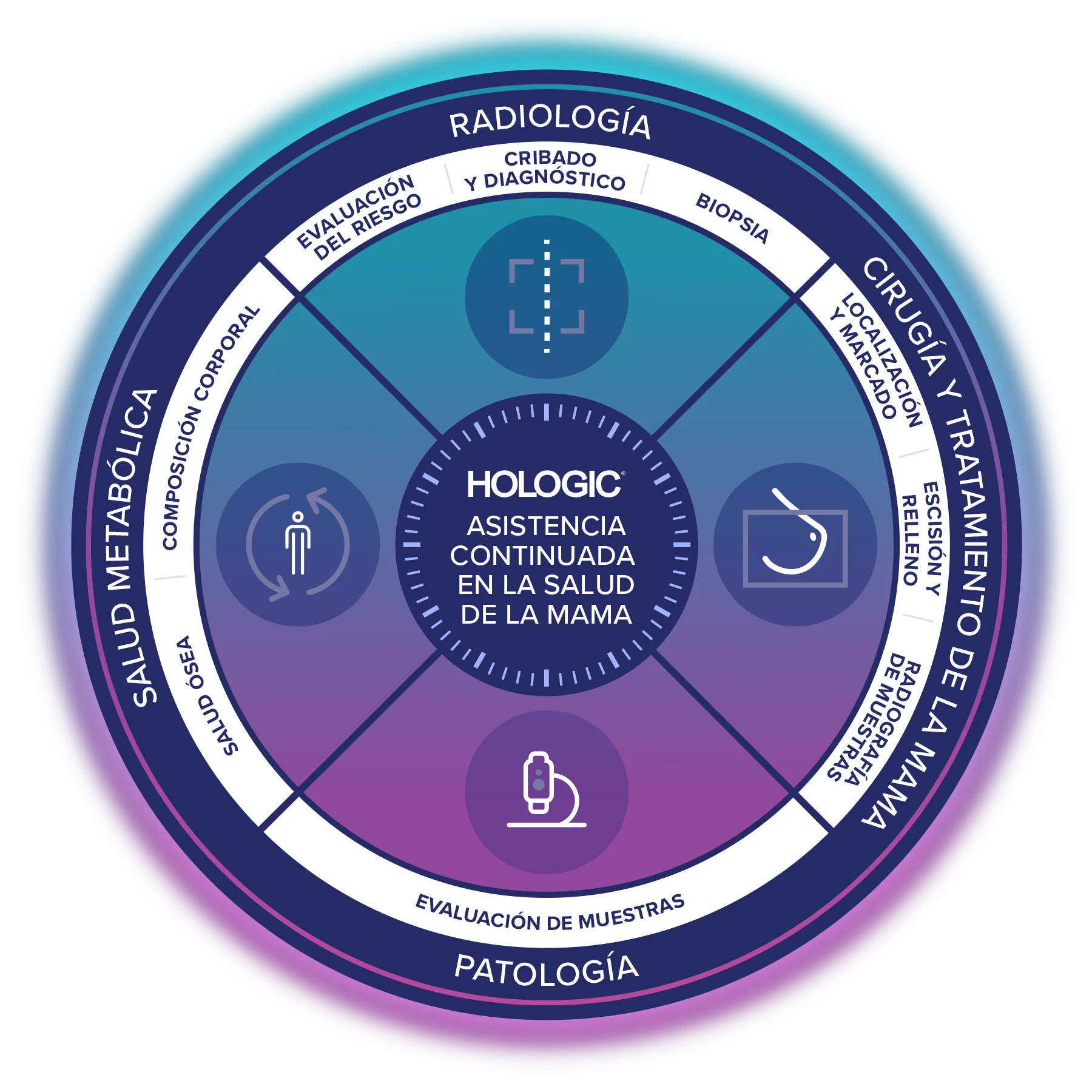 Ilustración de la asistencia continuada en la salud de la mama de Hologic